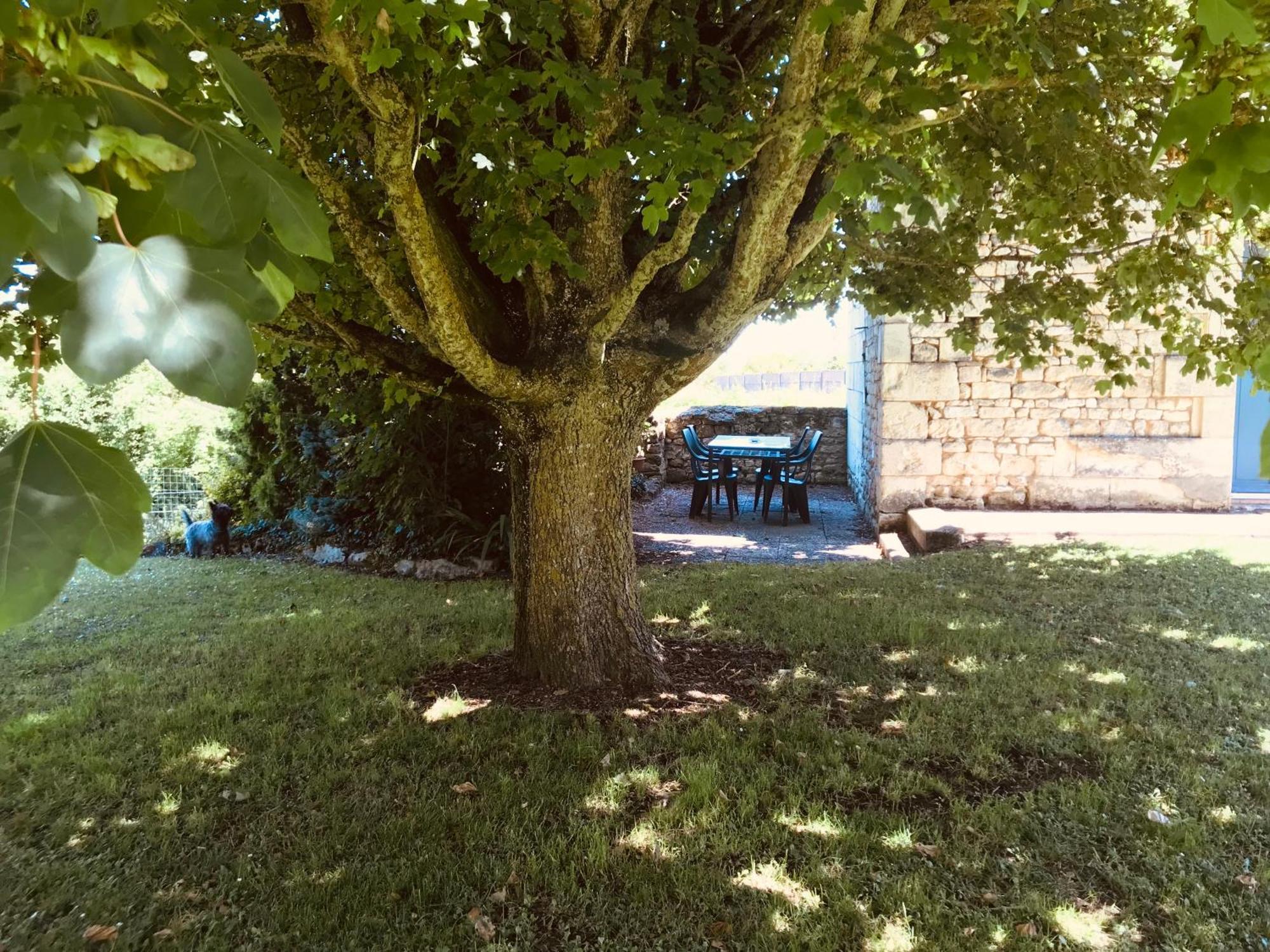 Gite Au Boom Coeur En Options Spa Et Repas Tourtenay Bagian luar foto